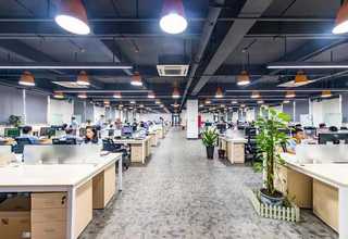 泰兴写字楼灭蚊蝇咨询热线