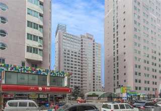 上海johnson转子泵厂家