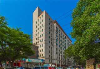 宠物用土豆全粉加工制作